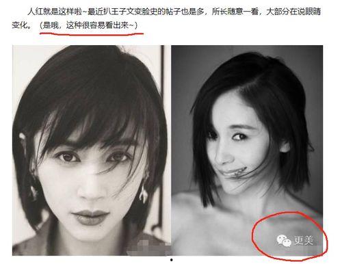 明星黑料最新,明星黑料曝光，真相背后引人深思