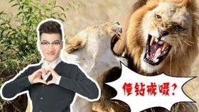 搞笑喪尸片視頻國(guó)產(chǎn)片