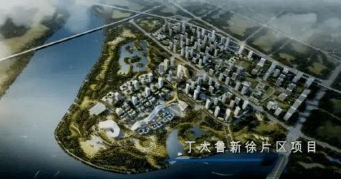 國(guó)產(chǎn)片區(qū)視頻,聚焦本土影視創(chuàng)作新篇章